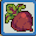 Beet