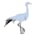 Blue Crane