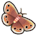 Little Wood Satyr Butterfly