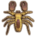 Desert Scorpion