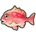 Pink Snapper