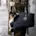 pet carrier handbag