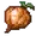 Onion