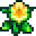 Daffodil