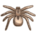 Huntsman