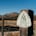 Obtain Necessary Permits Beforehand