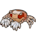 Pom-Pom Crab