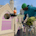 Skate