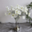 Cosmos Long Stems