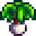 Leek
