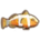Clown Fish