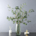 Green Leaf Stems