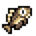 Crucian Carp