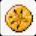 Sand Dollar