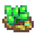 Ocean Stone