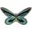 Birdwing Butterfly