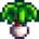 Leek