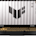 Asus TUF F16, i7-14650HX, RTX 5070, 16 GB DDR5-5600, 1 TB SSD, QHD+ 165 Hz 100% sRGB