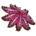 Crown-of-thorns Starfish