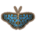 Blue Tiger Butterfly