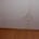 Are there any water stains or corrosion to the walls backing onto the showers or baths?
