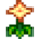 Summer Sprangle