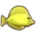 yellow tang