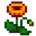 Poppy