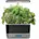 Harvest Elite with Gourmet Herb Seed Pod Kit - Hydroponic Indoor Garden, Platinum Stainless