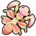 Orchid Mantis
