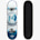 Krypontics Pop Series 31" Skateboard, Sky Blue-Rays