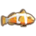 Clown Fish