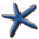 Blue Starfish