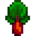 Rhubarb