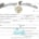 Research marriage licenser requirements and procedure