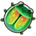 Leaf Beetle