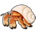Hermit Crab