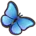 Blue Morpho Butterfly