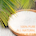 Palm Wax for Candle Making