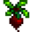Beet