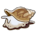 Whelk