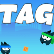 Tag Game