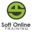 Soft online training
