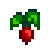 Radish