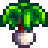 Leek