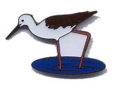 Black-Winged Stilt