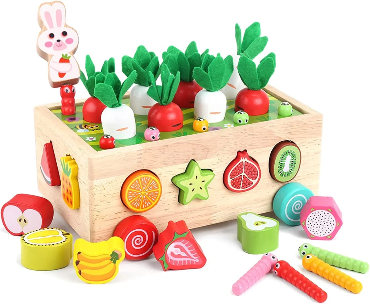 Shape Sorting Toys Gifts for Kids