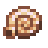 Nautilus Shell