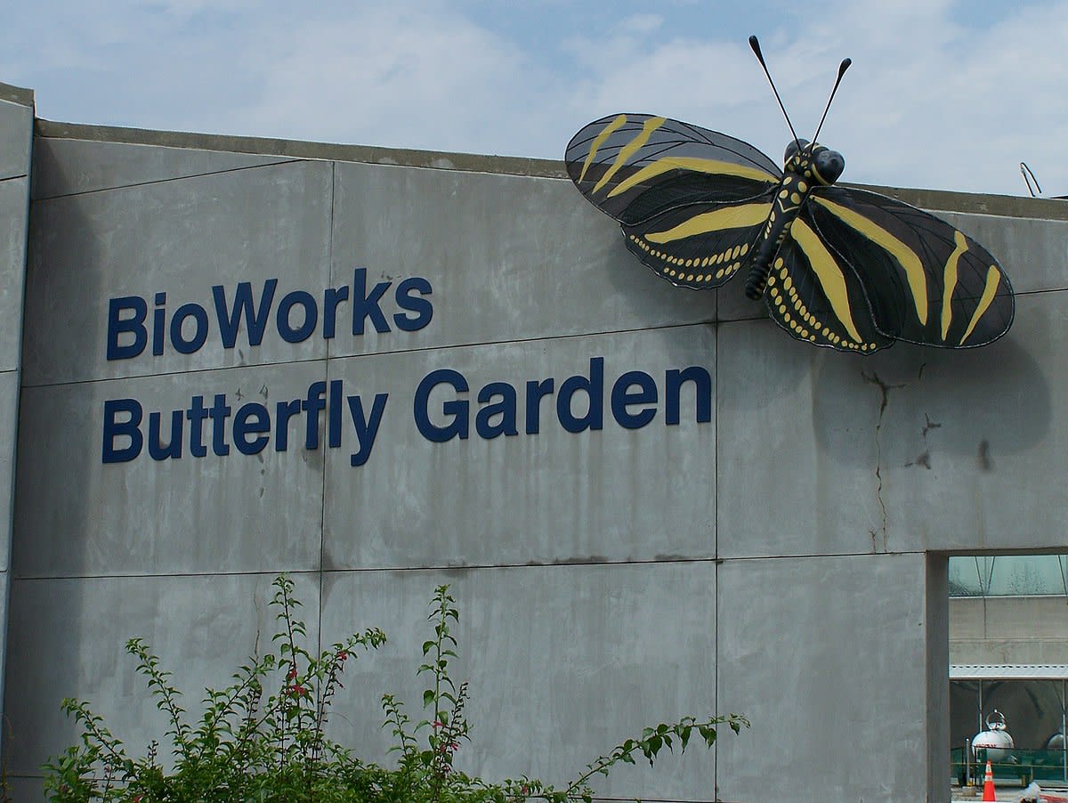 Bioworks Butterfly Garden, Museum of Science and Industry
