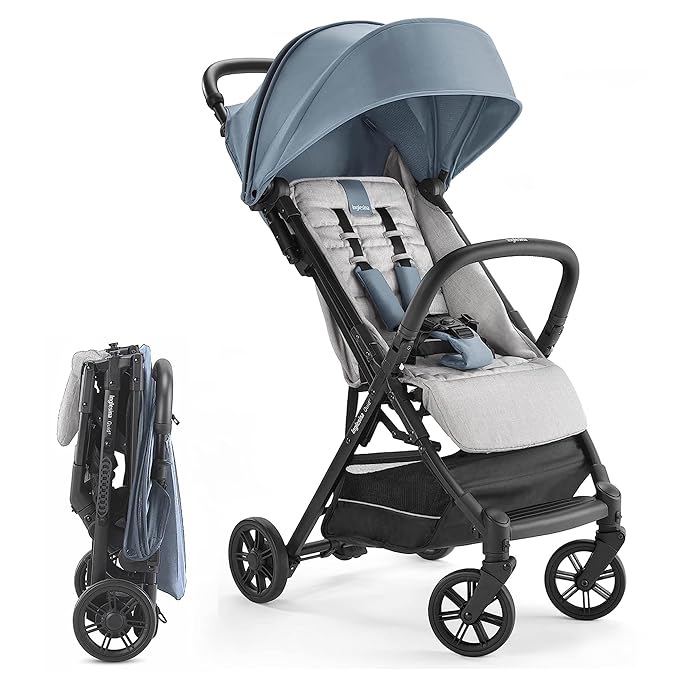 Inglesina Quid